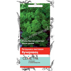 СЕМЕНА ПЕТРУШКА "КУЧЕРЯВЕЦ"